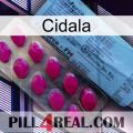 Cidala 35